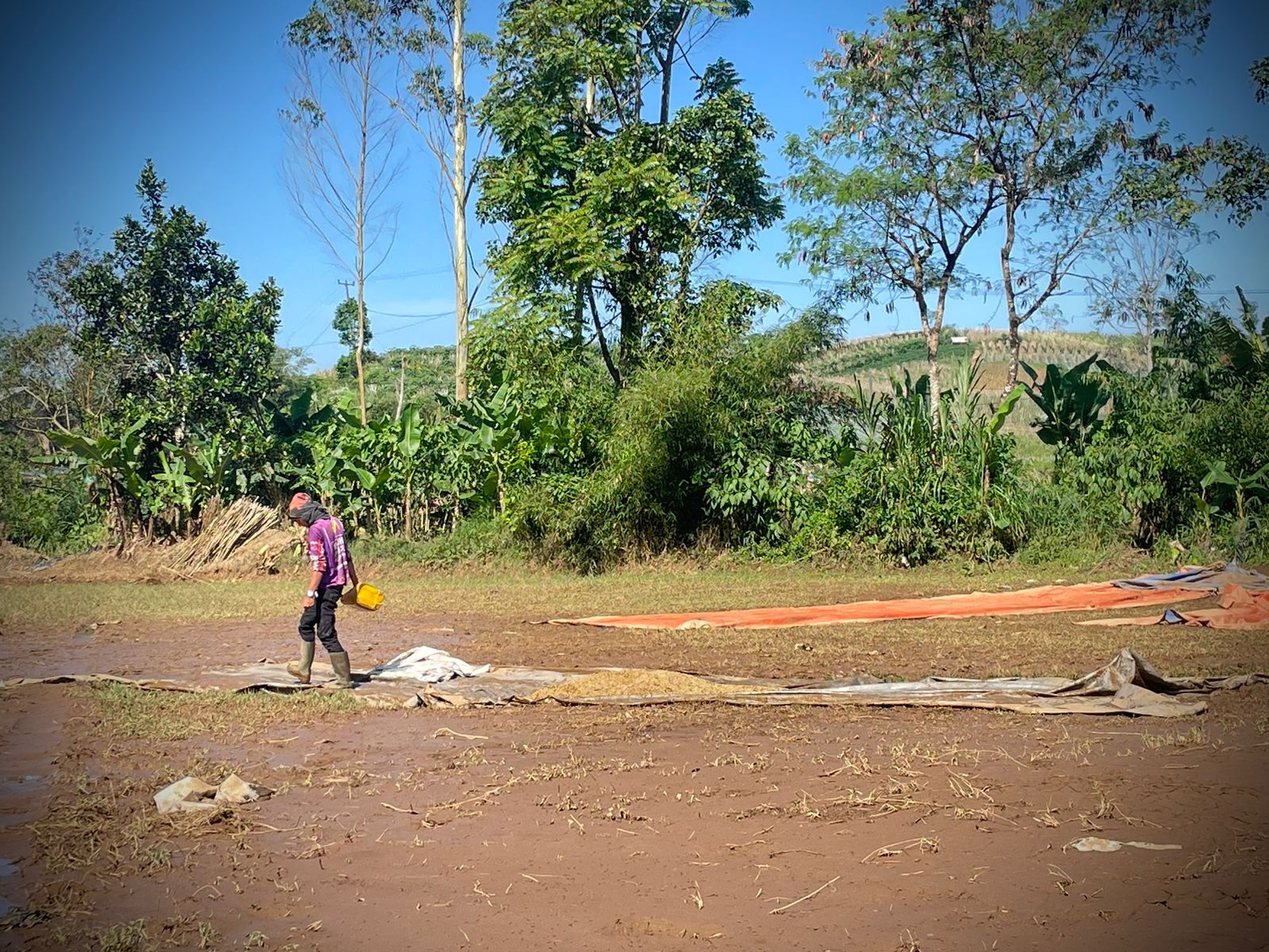 Dok. Para pegawai tengah menyortir kopi yang terendam banjir. Senin (15/5). Foto Jabarekspres