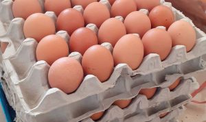 Dok. Masyarakat tengah dikeluhkan dengan kenaikan harga telur ayam di Kabupaten Bandung Barat. Kamis (25/23). Foto Istimewa