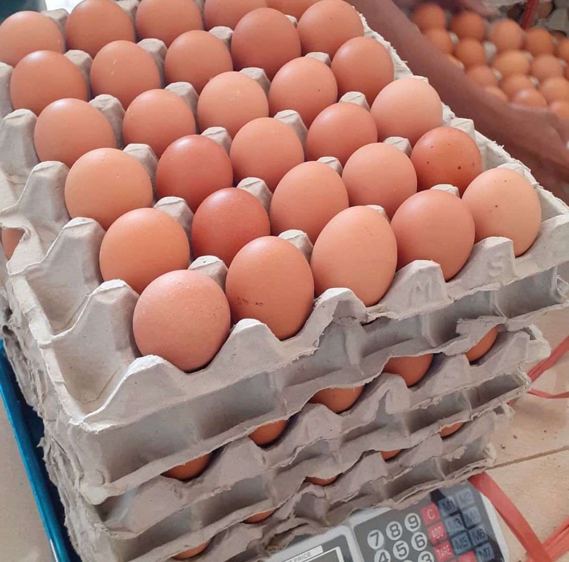 Dok. Masyarakat tengah dikeluhkan dengan kenaikan harga telur ayam di Kabupaten Bandung Barat. Kamis (25/23). Foto Istimewa