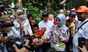 Maju Jadi Caleg dari Partai Golkar, Atalia Belum Pikirkan Pilwalkot Bandung