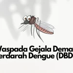 Gejala Demam Berdarah Dengue (DBD) Yang Perlu Kamu Waspadai!