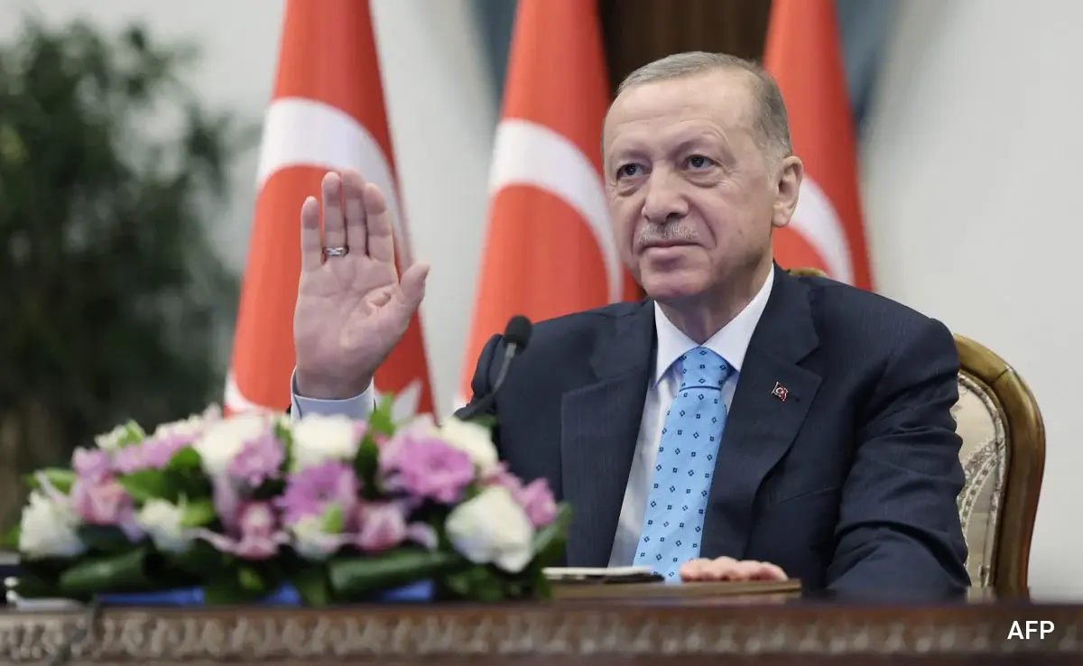 Recep Tayyip Erdogan Menang Pemilu Turki Setelah Putaran Kedua