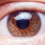 6 Tips Ampuh Menjaga Kesehatan Mata secara Mudah