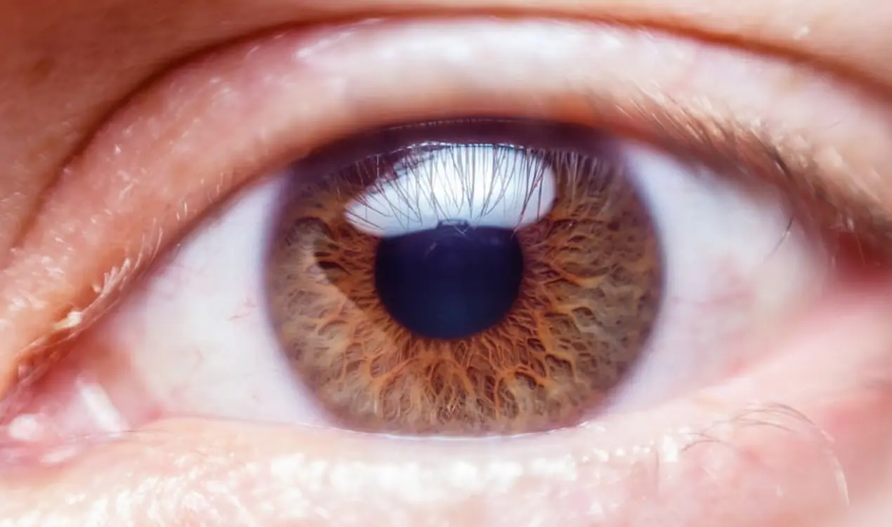 6 Tips Ampuh Menjaga Kesehatan Mata secara Mudah