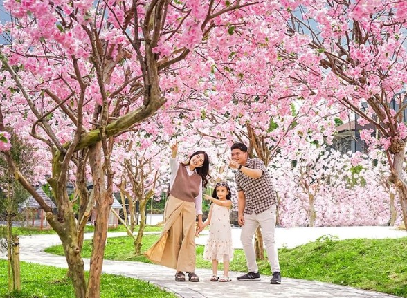 Taman Sakura menjadi salah satu andalah di Wisata Mini Mania Lembang Bandung