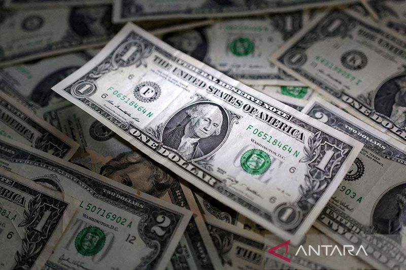 US Dollar Rises Amid Strong Consumer Sentiment