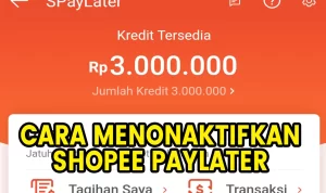 2 Cara Menonaktifkan Shopee PayLater dengan Mudah!