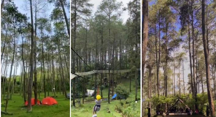 Wisata Hutan pinus terbaik di Bandung.