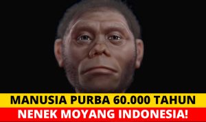 Manusia Purba 60.000 Tahun Ditemukan di Indonesia, Mirip Hobbit!