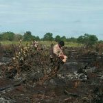 BMKG Detects 16 New Heat Points in East Kalimantan