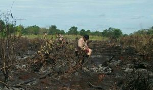 BMKG Detects 16 New Heat Points in East Kalimantan