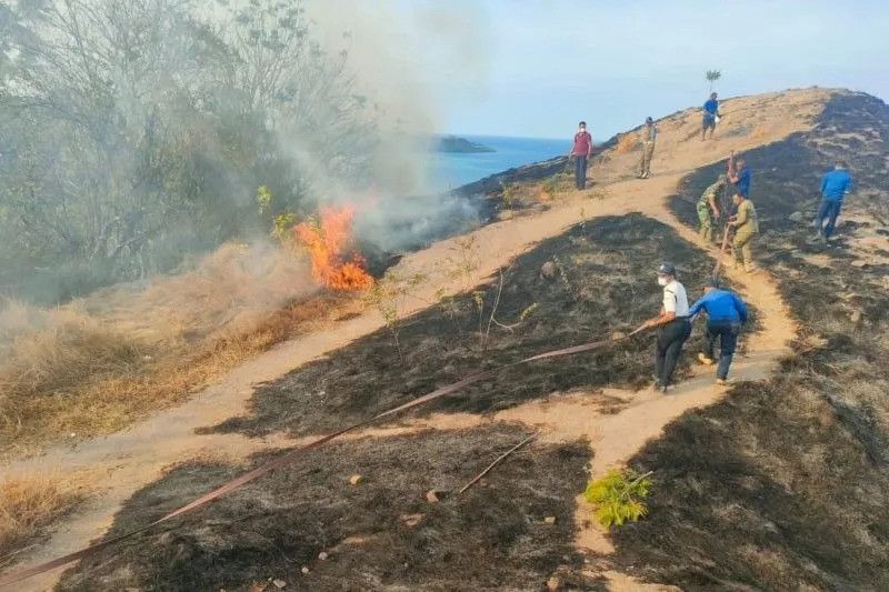 BMKG Urges West Manggarai Residents to be Aware of Forest and Land Fires Caused by El Nino