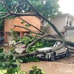 Diguyur Hujan Angin, 28 Bencana Terjang Kota Bogor