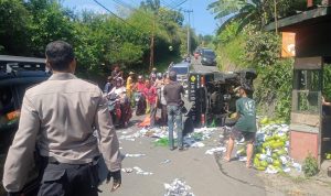 Gagal Nanjak Akibat Muatan Lebih, Mobil Pick Up Terguling