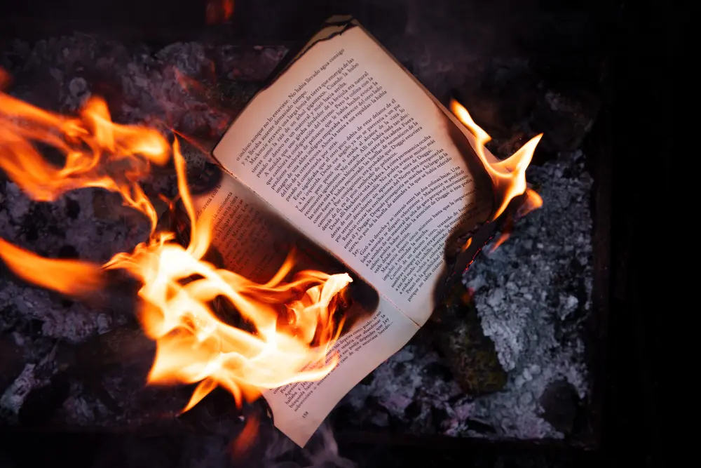 Iraqis Burn Copies of Quran Outside Mosque in Sweden During Eid al-Adha