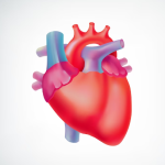 Jangan Abaikan, Inilah 5 Faktor yang Memperburuk Kesehatan Jantung pada Generasi Muda