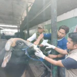 Ilustrasi. Jelang Hari Raya Idul Adha 1444 H DLHK Kota Depok, Jawa Barat menghimbau agar masyarakat tidak membuang limbah hewan kurban ke badan air. (Jabar Ekspres/Rubiakto)