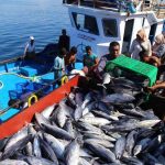 KKP Lakukan Penghitungan Kuota Penangkapan Ikan