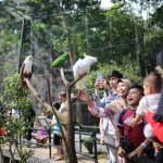 Sejumlah pengunjung Kebun Binatang Bandung tampak akrab dengan beberapa satwa.