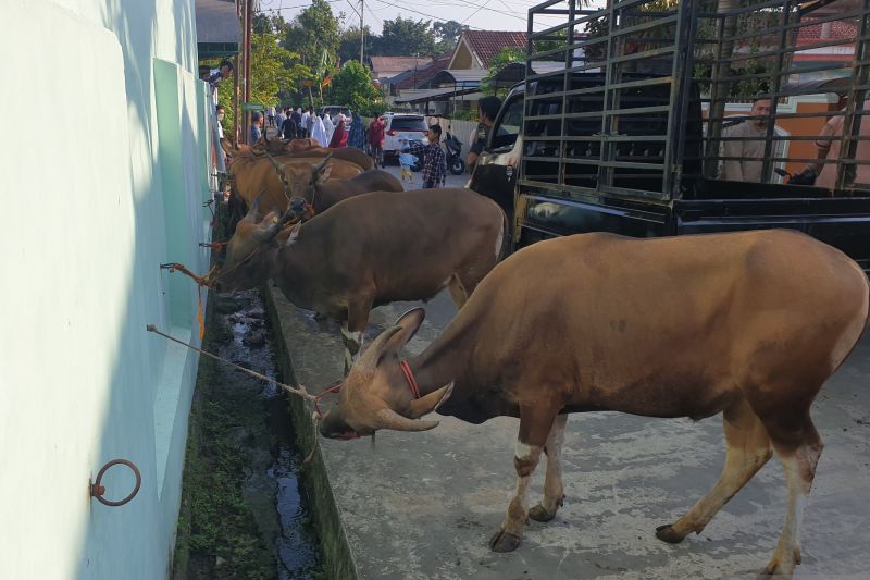 Kemenkumham Adakan Kegiatan Kurban di Lapas Wilayah Sumsel