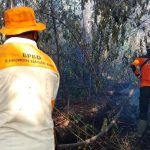 Luas Kebakaran Lahan di Aceh Capai 13 Hektar, Pemadaman Terhambat Karena Minim Sumber Air