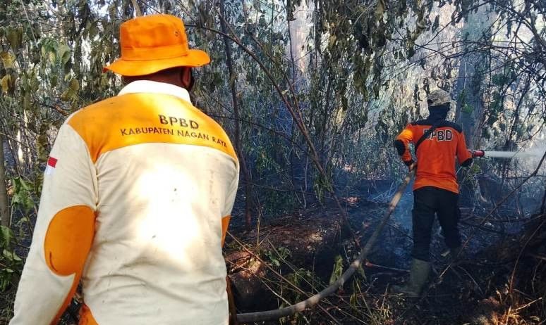 Luas Kebakaran Lahan di Aceh Capai 13 Hektar, Pemadaman Terhambat Karena Minim Sumber Air