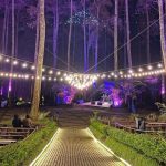 Wisata Romantis di Bandung, Orchid Forest Cikole/ Instagram @orchidforestcikole