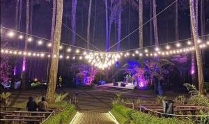 Wisata Romantis di Bandung, Orchid Forest Cikole/ Instagram @orchidforestcikole