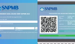 Pengumuman SNBT UTBK 2023/ Kolase Laman dan Instagram SNPMB