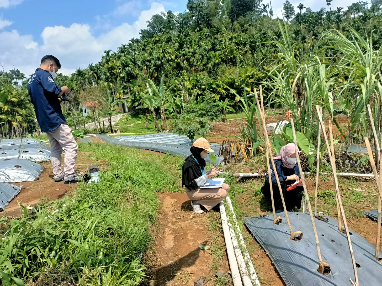 Petani Program Desa Digital Jadi Direktur Utama Pertanian Modern