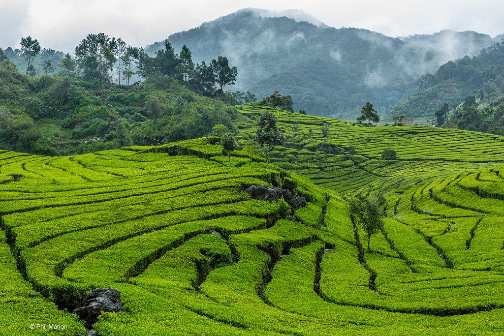 3 Destinasi Wisata Alam di Bandung yang Bikin Kamu Melayang di Antara Keindahan Alamnya