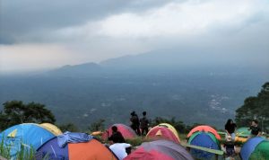 Hundreds of Tourists Enjoy Temiangan Hill "Land Above The Clouds" Tour