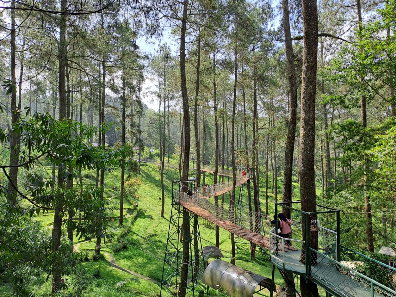 Orchid Forest Cikole Bandung: Review, Tiket Masuk, Dan Lokasi ...