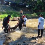 Bersama KLHK, Ribuan Pegawai PLN Group Bersihkan Pantai dan Sungai Serentak Se-Indonesia