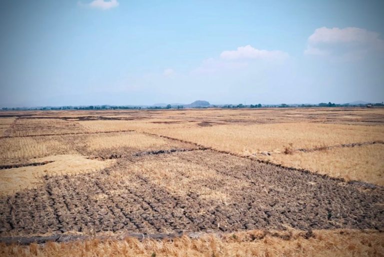 Ist. Antisipasi Kekeringan di Masa El Nino, Pemprov Jabar Siapkan Skema Antisipasi. Dok. Jabar Ekspres.