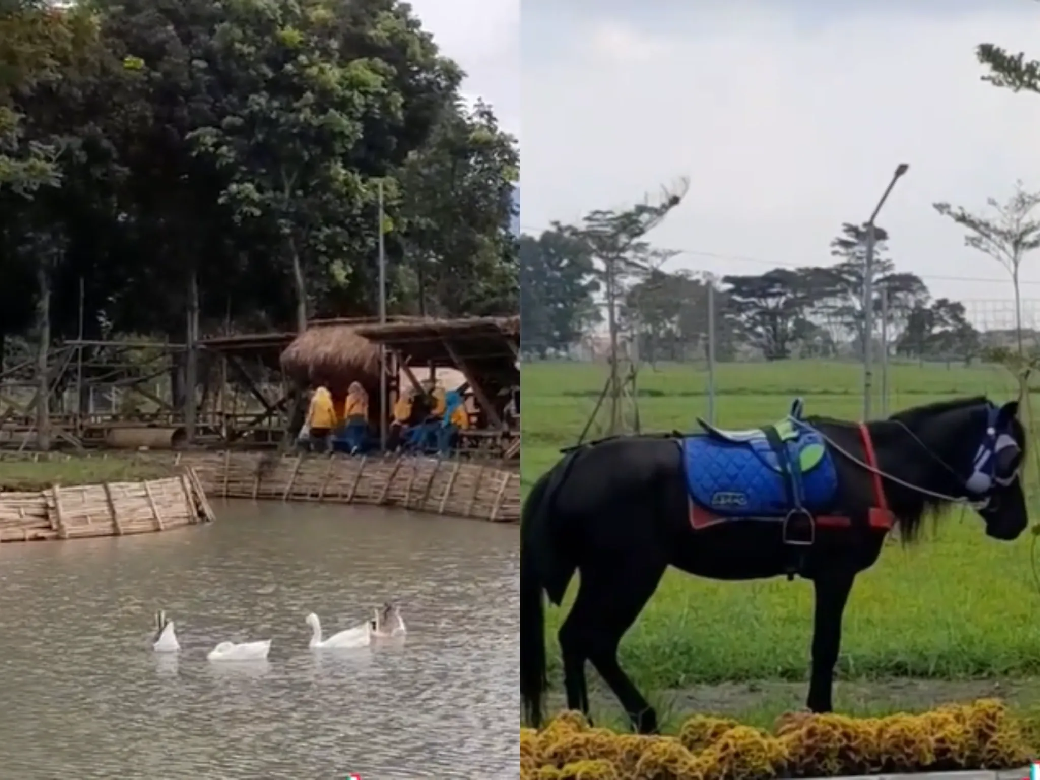 Wisata Bandung Tepi Kota Healing/ Kolase TikTok Tepi Kota Healing