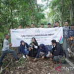 Wujudkan Perusahaan Ramah Lingkungan, PLN Tanam Ratusan Pohon di Kalsel