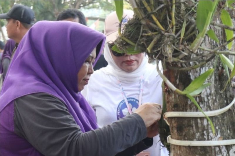 Community Expects Pelaihari Moon Orchid to be Protected from Extinction