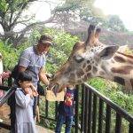Ridwan Kamil Dukung Bandung Zoo Dikelola Pemkot