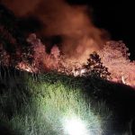 Dry Season Burns Two Hectares of Land!