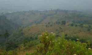 Gunung Manglayang, salah satu dari empat gunung yang menjulang di Kota Bandung, bersanding dengan Gunung Burangrang, Tangkuban Parahu, dan Bukit Tunggul.