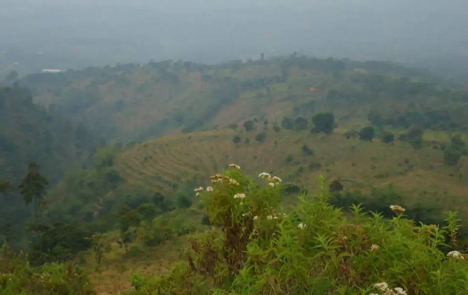 Gunung Manglayang, salah satu dari empat gunung yang menjulang di Kota Bandung, bersanding dengan Gunung Burangrang, Tangkuban Parahu, dan Bukit Tunggul.