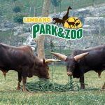 Harga Tiket Wisata Bandung Lembang Park and Zoo/Foto: Instagram (lembang_parkzoo)