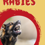 kenapa orang kena rabies takut air
