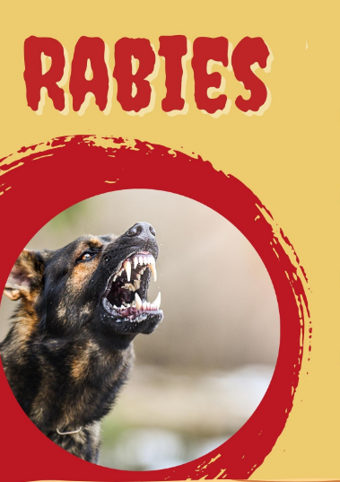 kenapa orang kena rabies takut air