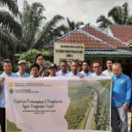 Plantation Agency Urges Farmers to Avoid Using Pesticides