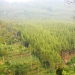 Rekomendasi Wisata Bandung: Wah Ada View Pemandangan Terbaik Loh, Simak Di Sini