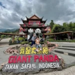 4 Rekomendasi Tempat Wisata Bogor yang Wajib Kamu Kunjungi