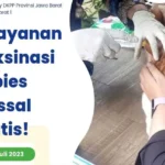 Vaksinasi Rabies Massal Gratis Kota Bandung
