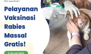 Vaksinasi Rabies Massal Gratis Kota Bandung